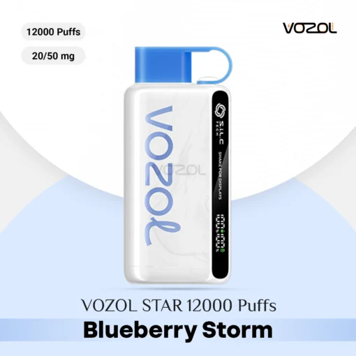 VOZOL STAR 12000 Puffs Blueberry Storm