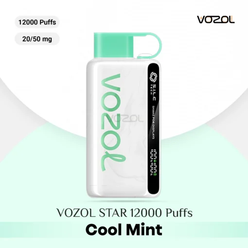 VOZOL STAR 12000 Puffs Cool Mint Disposable