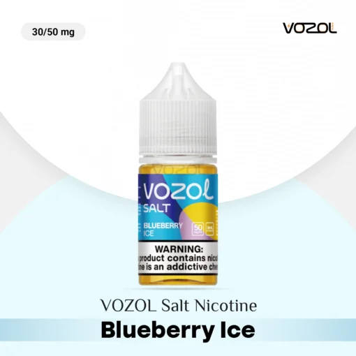 VOZOL Salt Nicotine Blueberry Ice