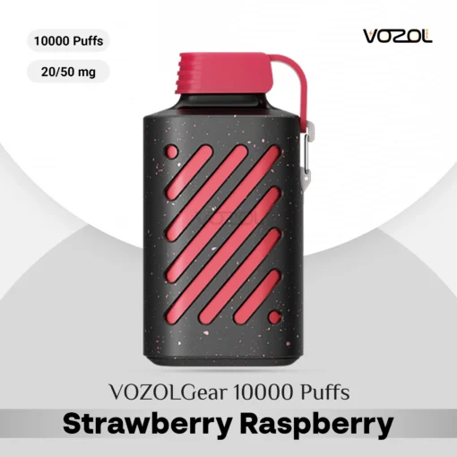 VOZOL Gear 10000 Puffs Strawberry Raspberry