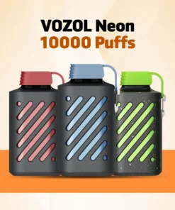 VOZOL Neon 10000 Puffs